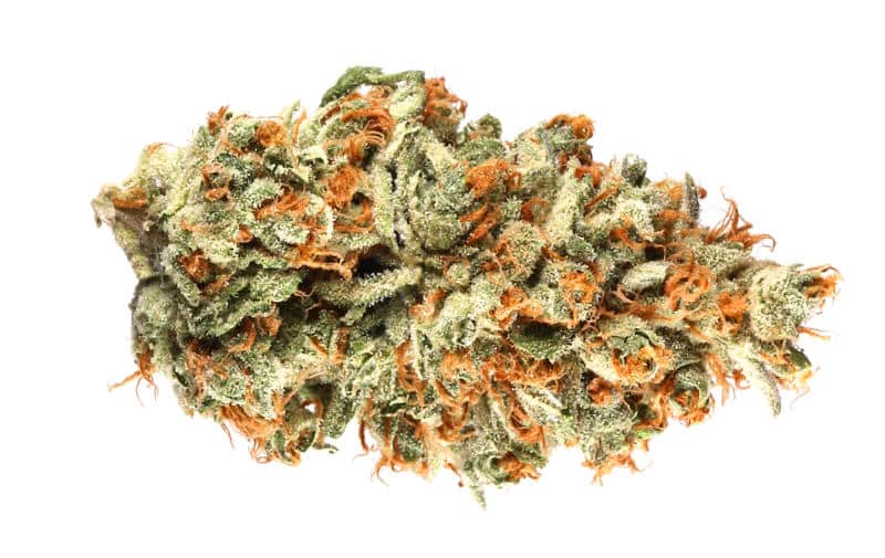 Ajo Cannabis Strain: A Flavorful Journey into Relaxation