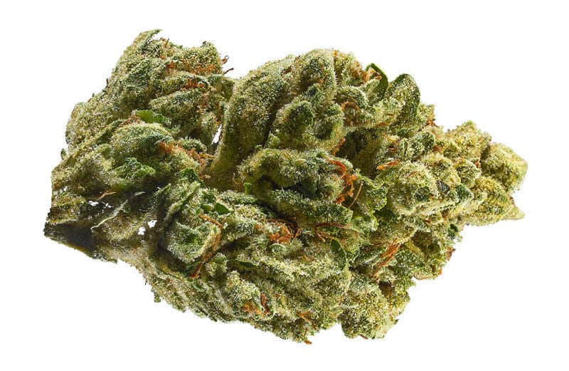 All Kush: Unveiling the Rich Heritage of a Cannabis Classic