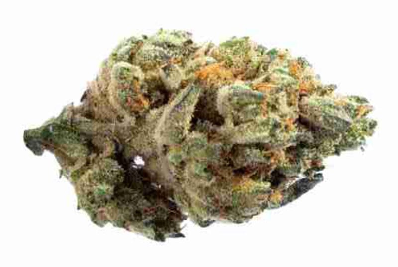 Alpine Blue Strain: Cannabis with a Breath of Fresh Blue