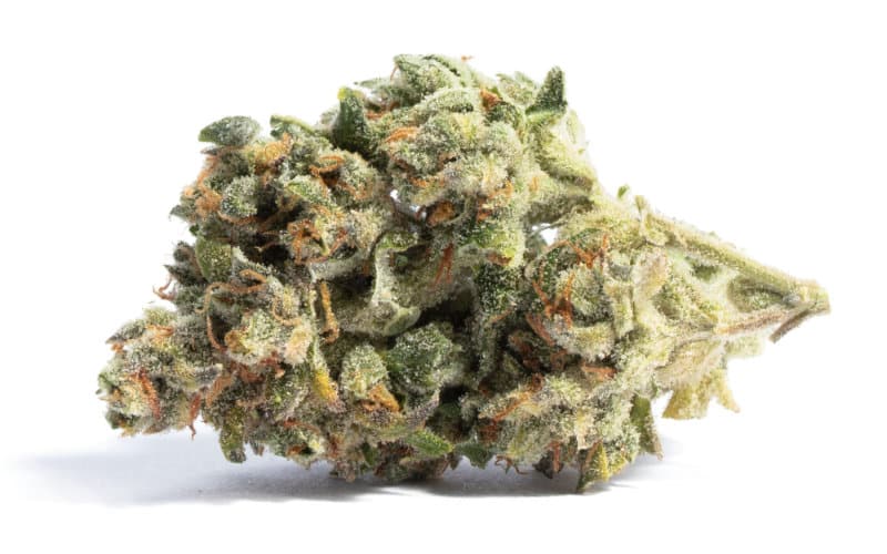 Acapulco Gold: A Timeless Journey to Cannabis Excellence