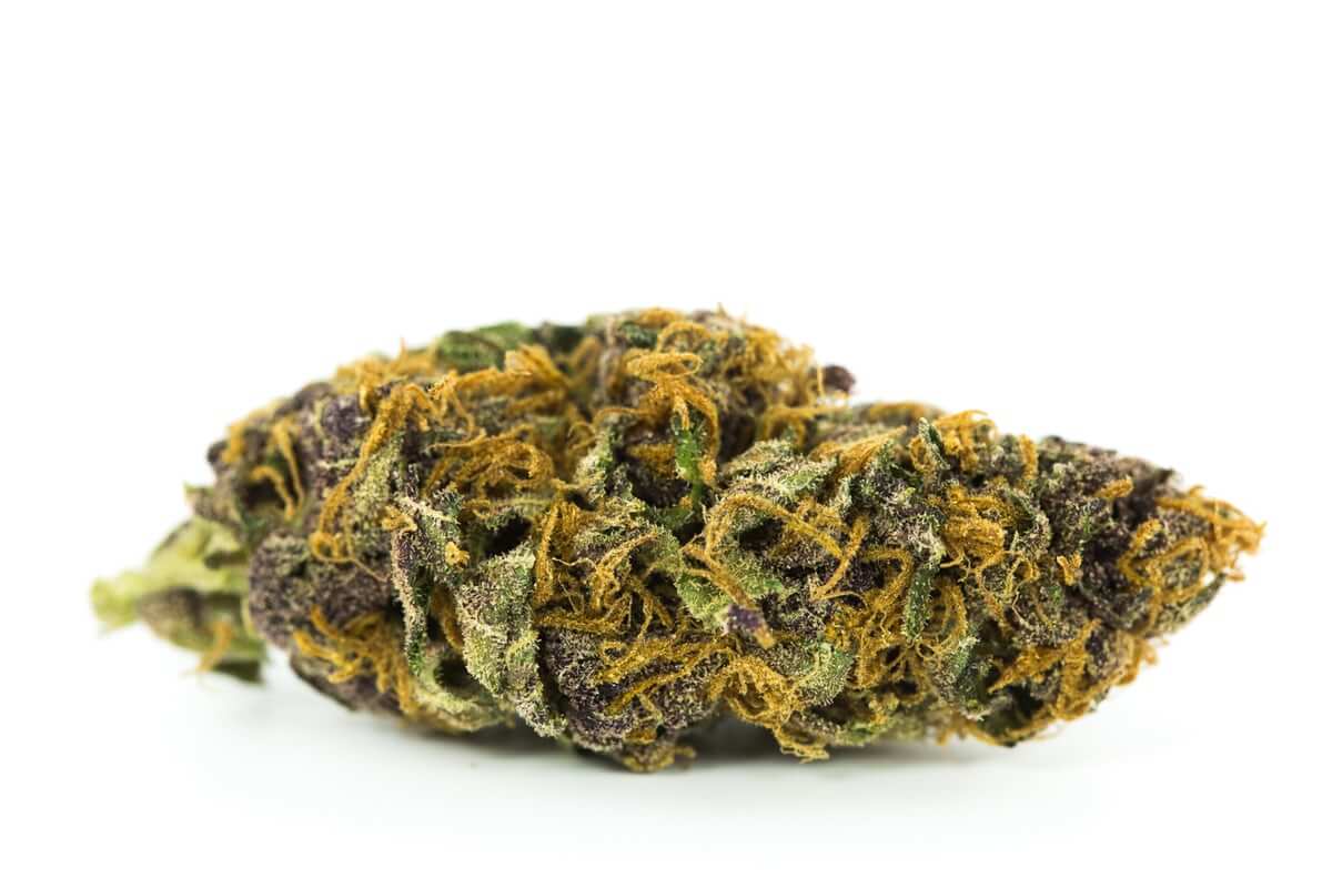 ACDC Cookies: A Harmonious Blend of CBD and Flavorful Delight