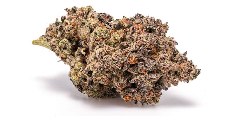 Apple Cookies Cannabis Strain: A Fusion of Lineage & Terpenes