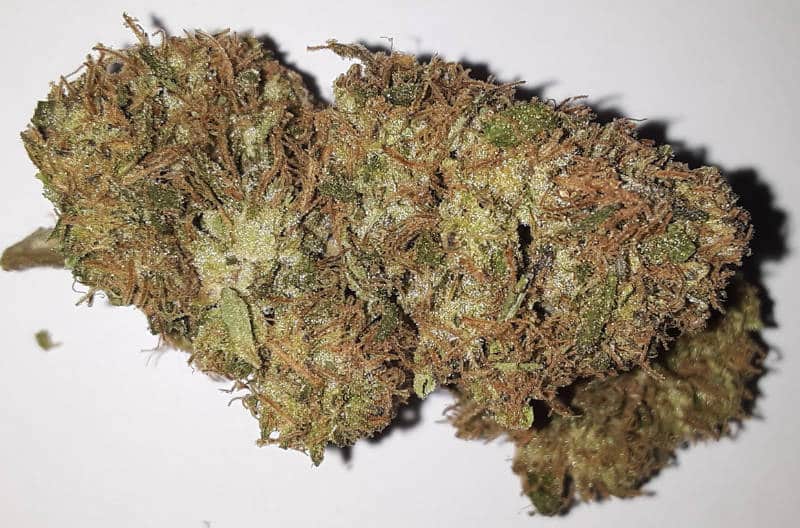 Apple Rock Candy Cannabis Strain: Lineage and Terpenes